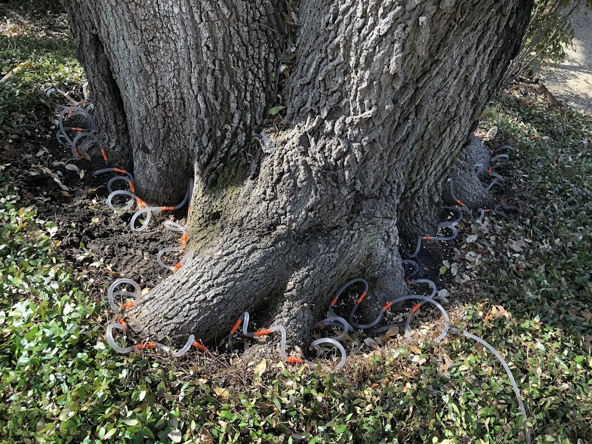Detailed Shrub and Hedge Trimming job site in Foster