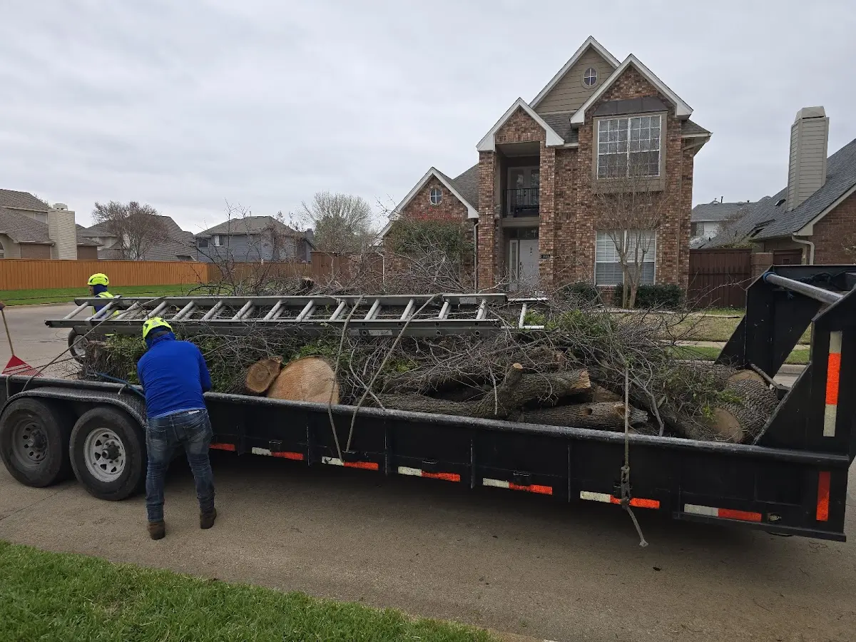 Expert Tree Removal with proper safety equipment in Foster